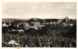 Ungvár, szőlőültetvény / vineyard