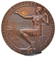 Franciaország 1931. "75 éves az Európai Duna Bizottság" Br emlékérem. Szign.: Lucien Bazor (71mm) T:2 talpnyom France 1931. "75th Anniversary of the European Danube Commission" Br medallion "COMMISSION EUROPEENNE DU DANUBE 1856 - 1931 / INAUGURATION DES NOUVELLES DIGUES DE SOULINA MCMXXXI". Sign.: Lucien Bazor (71mm) removed from pedestal! C:XF