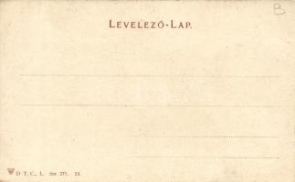 Hortobágy, juhász kutyákkal D.T.C.L. Ser. 271. 13