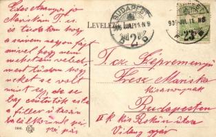 Budapest II. Pavillon Budagyöngye, Ferts Aladár Vendéglője