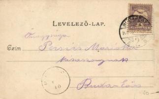 Budakeszi, Erdő utca, kiadja Hatschek Emil