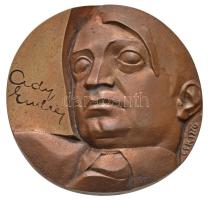 Csíkszentmihályi Róbert (1940-) 1976. "Ady Endre / Népért síró, bús, bocskoros nemes" Br plakett dísztokban (102mm) T:2 Hungary 1976. "Endre Ady" Br plaque in case. Sign.: Róbert Csíkszentmihályi (102mm) C:XF