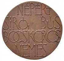 Csíkszentmihályi Róbert (1940-) 1976. "Ady Endre / Népért síró, bús, bocskoros nemes" Br p...