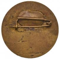 DN "BKV GV 885" zománcozott fém jelvény (32mm) T:2- zománchiba