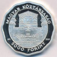 2007. 5000Ft Ag "Debreceni Református Nagytemplom" T:PP