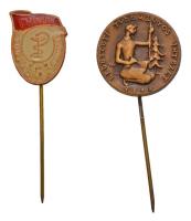 ~1970. "CHINOIN Törzsgárda 5 év" zománcozott fém kitűző + DN "Erdészeti Tudományos Intézet 1898" fém kitűző T:2