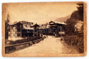 cca 1890 Ifj. Divald Károly (Szepes megye, Igló) felvétele a Kárpátokból, keményhátú fénykép, 11x18 cm