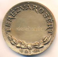 1996. "Terézvárosért" kétoldalas Br plakett dísztokban. Szign.: Sz.J. (75,5mm) T:1-