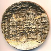 1996. "Terézvárosért" kétoldalas Br plakett dísztokban. Szign.: Sz.J. (75,5mm) T:1-