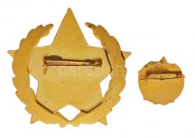 ~1960. "A Gépipar Kiváló Dolgozója" aranyozott, zománcozott kitüntetés miniatűrrel adomány...