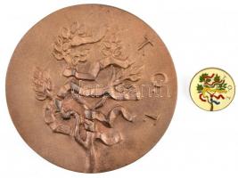 Somogyi Árpád (1926-) ~1970. "Termelőszövetkezetek Országos Tanácsa / Kiváló termelőszövetkezet...