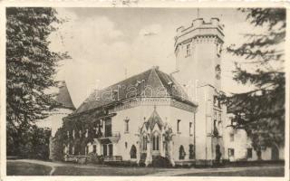 Nagykároly, Gróf Károlyi kastély / castle 'vissza' So. Stpl