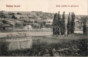 Kurd mit Dampfmühle