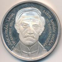 Fritz Mihály (1947-) 1991. "MÉE Szekszárd - Szeged / Babits Mihály halálának 50. évfordulóján" Ag emlékérem (36.35g/0.925/42,5mm) T:PP felületi karc