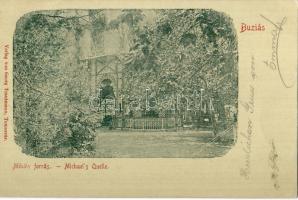 1899 Buziás Michael`s Quelle