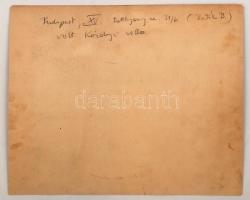 cca 1930(?) Bp. XV., Batthyány u. 31/b az egykori Károlyi-villa épülete, fotó, hátulján feliratozva,...