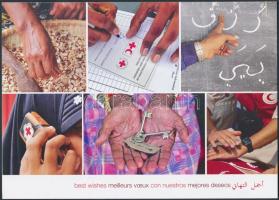 Anitta Underlin, a Vöröskereszt és Vörös Félhold szervezetek Nemzetközi Szövetsége (IFRC) elnökének ...