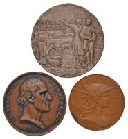 Vegyes: Franciaország DN "Francia Köztársaság" Br emlékérem. Szign.: Henri Dubois (45mm) + Ausztria 1834. "Andreas Liber báró orvostudományban elért sikereinek 50. évfordulójára" Br emlékérem. "ANDREAS LIBER BARO DE STIFFT - I. D. BOEHM. F. / LAVREAM SEMISECVLAREM CELEBRAT ORDO MEDICORVM VINDOBONENSIVM MDCCCXXXIV - NAT. 29 NOV. 1760 FROM 21 AVG. 1784". Szign.: Josef Daniel Boehm (72.8g/51.5mm) + Románia ~1926. "Román Mezőgazdasági Kamara / Kiállítás" Br emlékérem. Szign.: R.Fäbbler (59mm) T:2-,3 ph. Mixed: France ND "Republique Francaise / Comice de Morez-St. Laurent et les Planches" Br commemorative medal. Sign.: Henri Dubois (45mm) + Austria 1834. "50th Anniversary of Andreas Liber Baro de Stifft" Br commemorative medallion. Sign.: Josef Daniel Boehm (72.8g/51.5mm) + Romania ~1926. "Romanian Chamber of Agricultur / Exposition" Br medallion. Sign.: R.Fäbbler (59mm) C:VF,F edge error