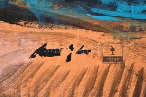 Bogdán János (1975-): Bálnás kép. Akril, karton, jelzett, 100×50 cm