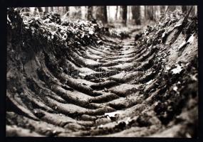 cca 1980 Hazslinszky Erika: Keréknyom, feliratozott fotóművészeti alkotás, 26x38 cm