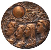 1972. "Györffy István Kollégium - NÉKOSZ - XXX" Br emlékplakett tokban. Szign.: SZI (90mm) T:2