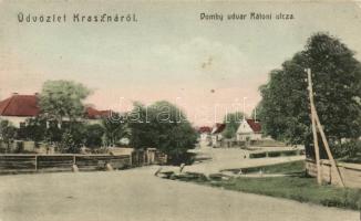 Kraszna, Domby udvar, Rátoni utca / court yard, street (fa)