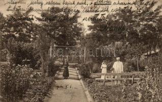 Gyopárosfürdő, Berthoty-kert (fa)