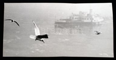 cca 1970 Dunai hajó a ködben, 20x39 cm