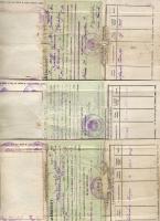 1929-1936. 3 db vadászjegy fénykép nélkül + vadászszövetségi belépési nyilatkozat