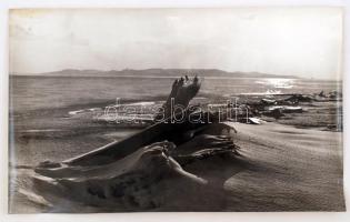 cca 1968 Horváth Lajos: Tél a Balatonon, feliratozott, kiállítási emlékpecsétekkel jelzett fotóművészeti alkotás, 25x40 cm