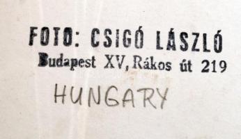 cca 1980 Csigó László: Buzogány, pecséttel jelzett fotóművészeti alkotás 40x14 cm