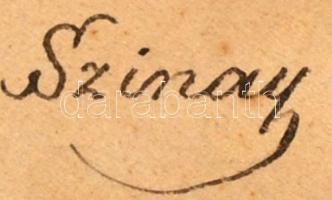 cca 1890 Leszih Miksa (1836-1895) gépgyáros Miskolcon, Szinay István miskolci fényképész nagyméretű ...