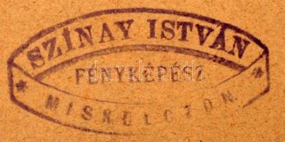 cca 1890 Leszih Miksa (1836-1895) gépgyáros Miskolcon, Szinay István miskolci fényképész nagyméretű ...