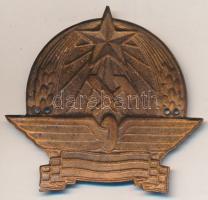 ~1960-1970. "MÁV" festett fém felvarró (51x53mm) T:2