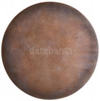 DN "Pro Liftmuseum Budapest" Br emlékplakett (100mm) T:2