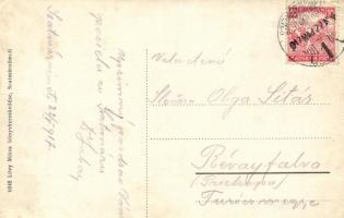 Szatmárnémeti, Pannónia szálloda, kiadja Lövy Miksa / hotel