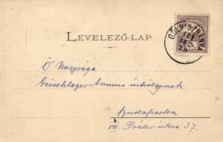 Gölnicbánya, Szolgabírói hivatal, casino, óvoda, kaidja Matz Gusztáv / magistrate's office, cas...