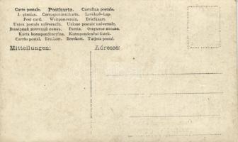 1908 Szalonca-Vaszka, Slavnica; Országos gyermekvédő liga Szilágyi-otthona / children's home, p...