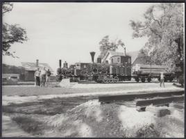 cca 1970 Erdei kisvasút mozdonya, 13x18 cm