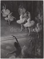 cca 1950 Botta Ferenc (1919-1968): Hattyúk tava, 2 db feliratozott, egyik aláírt vintage fotó, 24x18...