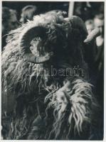 cca 1960 Mohács, busójárás, 3 db fotó, 24x18 cm