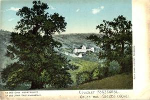 Kőszeg, Kb. 800 éves gesztenyefa