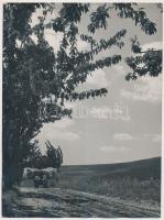 cca 1940 Katkó: Hazafelé, pecséttel jelzett, feliratozott fotóművészeti alkotás, 24x18 cm