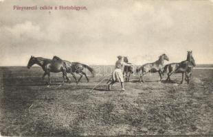 Hortobágy, pányvavető csikós; kiadja Pongrácz Géza (EK)