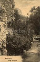 Brassó, Kronstadt; Graft