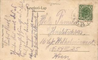 Rovne, Bíró háza; kiadja Spiegel Jakab / Dom ryhtára / juridical apartment