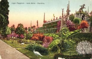 7 db RÉGI olasz városképes lap; több Como / 7 old Italian town-view postcards; more Lago di Como