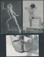 cca 1970 Szép az élet! 5 db finoman erotikus fénykép, 14x9 cm / cca 1970 5 erotic photos, 14x9 cm