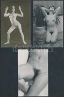 cca 1970 6 db finoman erotikus fénykép, 14x9 cm /
cca 1970 6 erotic photos, 14x9 cm