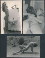 cca 1970 Sose feledd! 6 db finoman erotikus fénykép, 14x9 cm /
cca 1970 6 erotic photos, 14x9 cm